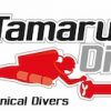 Logo de Tamarugo Dive